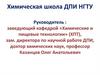 Химическая школа ДПИ НГТУ