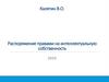 Распоряжение правами на интеллектуальную собственность
