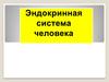 Эндокринная система человека
