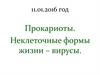 Прокариоты. Неклеточные формы жизни – вирусы. 10 класс