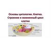 Основы цитологии. Клетка. Строение и жизненный цикл клетки