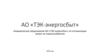 Коммерческое предложение АО «ТЭК-энергосбыт» по оптимизации затрат на энергоснабжения