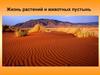 Жизнь растений и животных пустынь