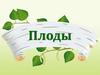 Плоды и их классификация. Распространение плодов и семян