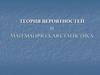 Теория вероятностей и математическая статистика (Лекция 5)