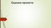 Оценка проекта