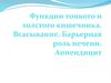 Функции тонкого и толстого кишечника. Всасывание. Барьерная роль печени. Аппендицит