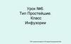 Тип простейшие. Класс инфузории