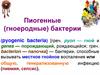 Пиогенные (гноеродные) бактерии