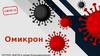 Омикрон. Что такое Омикрон?