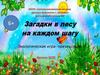 Загадки в лесу на каждом шагу