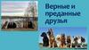 Верные и преданные друзья