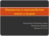 Ферменты в производстве масел и жиров