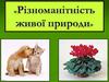 Різноманітність живої природи