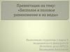 Бесполое и половое размножение