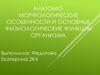Анатомо-морфологические особенности и основные физиологические функции организма