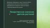 Лекарственное значение цветков растений