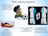 Как одеты игроки Футболисты