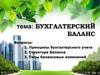 Бухгалтерский баланс