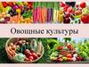 Овощные культуры