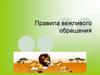 Правила вежливого обращения