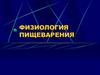 Физиология пищеварения