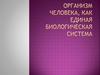 Организм человека, как единая биологическая система