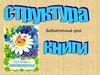 Библиотечный урок. Структура книги