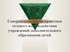 Совершенствование практики сетевого взаимодействия учреждений дополнительного образования детей