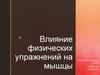 Влияние физических упражнений на мышцы