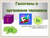 Галогены в организме человека