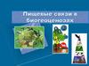 Пищевые связи в биогеоценозах