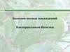 Болезни лесных насаждений. Бактериальные болезни