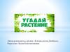 Зеленая аптека Донбасса. Угадай растение. Викторина