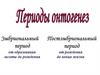 Периоды онтогенеза