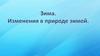Зима. Изменения в природе зимой