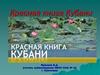 Красная книга Кубани