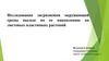 Исследование загрязнения окружающей среды пылью по ее накоплению на листовых пластинках растений