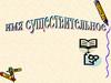 Имя существительное. 10 класс