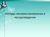 Методы лесовосстановления и лесоразведения