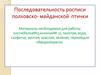 Последовательность росписи полховско - майданской птички