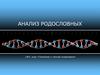 Анализ родословных