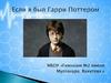 Если бы Гарри Поттером был я