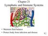 Lymphatic and Immune Systems