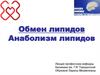 Обмен липидов. Анаболизм липидов