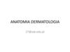 Anatomia dermatologia