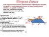 Теорема Фалеса