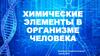 Химические элементы в организме человека