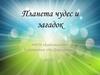 Планета чудес и загадок