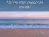Marine litter (морской мусор)